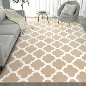 Morroccan Modern Area Rug for Living Room Bedroom, 4x6 ft Low Pile Shag Geometric Bedroom Area Rug Small Entry Rug Floor Carpet for Kids Room Nursery Office Home Decor Aesthetic, Light Grey & White