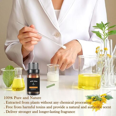 Hotel Scents Elegant Charisma 10ML Essential Oil Inspired by Shangri-La Hotel, Hotel Diffuser Oil with Cedarwood and Sandalwood, Luxury Home Aromatherapy Fragrances Oil in Kuwait