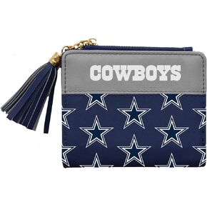 Littlearth للجنسين - الكبار NFL Dallas Cowboys Mini Organizer، لون الفريق، مقاس واحد