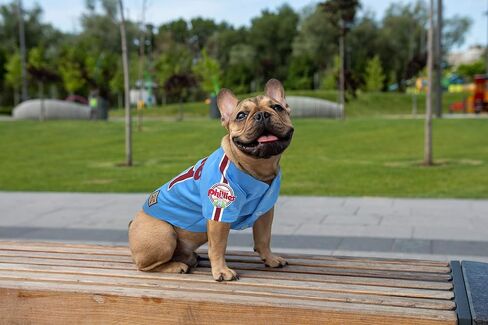 MLB Houston Astros Vintage Throwback Jersey for Dogs & Cats in Team Color. Comfortable Polycotton Material, Medium in Saudi Arabia