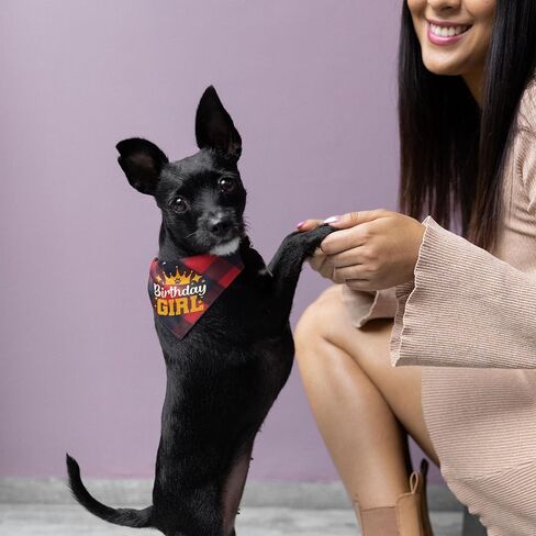Big Brother Dog Bandana - مناديل الكلاب أفضل مطبوعة من Big Bro، باندانا الأخ الأكبر للكلاب الصغيرة والمتوسطة والكبيرة، وشاح إكسسوارات الكلاب الأليفة لإعلان الحمل، أخضر منقوش in Kuwait