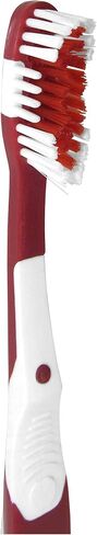 Siskiyou Sports NFL Kansas City Chiefs Unisex Travel Set Toothbrush and Travel Case in Saudi Arabia