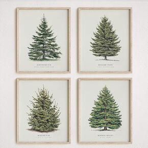 NOCTMETEOR 4Pcs Vintage Christmas Tree Wall Art, Artful 4 Pine Tree Botanical Prints, Winter Wall Decor, 8x10 Inch Unframed