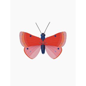 studio ROOF, Wall Art Butterfly, Speckled Copper Butterfly, Eco-Friendly & Creative Gift