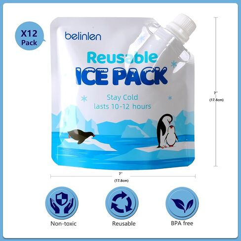 12 Pack 10 x 10 Inch Reusable Long Lasting Ice Packs for Cooler Ice Packs for Lunch Box, Lunch Bags, Beach, Fishing, Camping(7.87mil) in Saudi Arabia