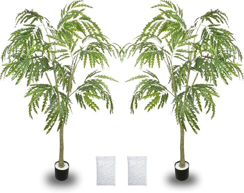 6ft Tall Artificial Shrub Trees Large Fake Phoenix Arbor Trees Indoor Modern Faux Tree Outdoor, 71in Realistic Tree Plants with Pot for Home Decor and Housewarming Gift, 2 Pack in Kuwait