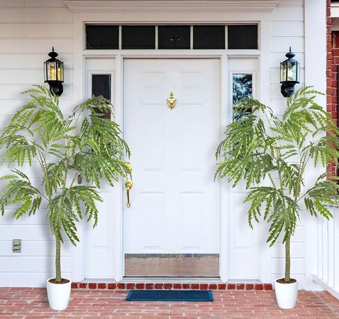 6ft Tall Artificial Shrub Trees Large Fake Phoenix Arbor Trees Indoor Modern Faux Tree Outdoor, 71in Realistic Tree Plants with Pot for Home Decor and Housewarming Gift, 2 Pack in Kuwait
