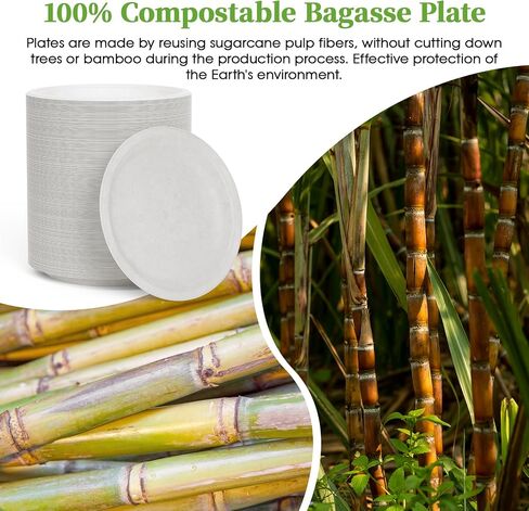 ECOLipak 6 Inch Compostable Small Paper Plates, 200 Pack Recycled Sugarcane Bagasse Mini Dessert Plates Disposable, Biodegradable Heavy Duty Cute Dinner Appetizer Cake Halloween Plates for Party in Kuwait