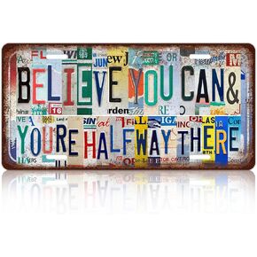 Vintage License Plate Wall Decor This Place Is For The Birds Metal Tin Sign For Bar Home 12 x 6 Inches