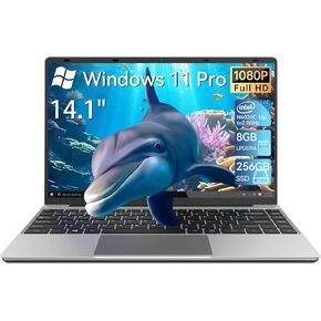Laptop 8gb ram 256gb ssd Windows 11 pro, Laptop Computer Intel Celeron N4020C 14.1" laptop, Full HD 1920x1080 for Work,Studying and Entertainment