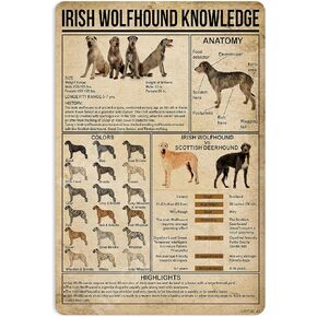 Irish wolfhound Knowledge Metal Signs Poster, Vintage Wall Decor Farmhouse Decorations 16x12 Inches