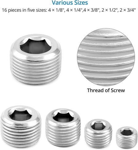 QWORK 304 Stainless Steel Pipe Fitting Kit Hex Countersunk Plug Assortment Set with NPT Male Thread 16 Pcs in Saudi Arabia