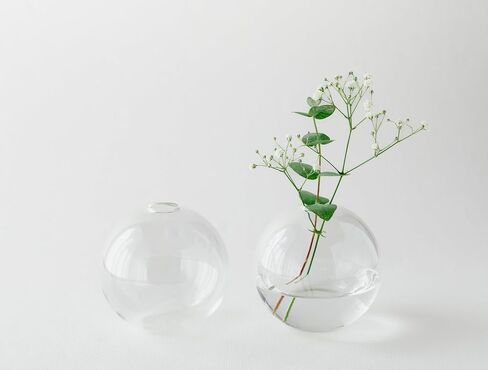Bud vase Set of 2, Ball Shape vase, Clear vase, Gift, Room Deco, Small Vintage vase for Living Room, Dinning Table, Bedroom, Centerpieces, Entryway, Office, Wedding, Table, Shelf in Saudi Arabia
