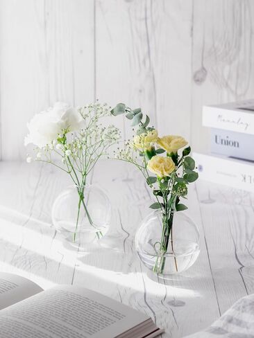 Bud vase Set of 2, Ball Shape vase, Clear vase, Gift, Room Deco, Small Vintage vase for Living Room, Dinning Table, Bedroom, Centerpieces, Entryway, Office, Wedding, Table, Shelf in Saudi Arabia