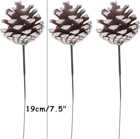 عيد الميلاد الطبيعية مخاريط الصنوبر بخاخ مجموعة من 12 كوز ثلجي يختار DIY الحرف ينبع مخاريط الصنوبر العصي فروع لشجرة عيد الميلاد الحلي إكليل إكليل عطلة الزهور ترتيب الإمدادات (12) in Kuwait