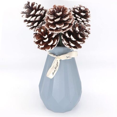 عيد الميلاد الطبيعية مخاريط الصنوبر بخاخ مجموعة من 12 كوز ثلجي يختار DIY الحرف ينبع مخاريط الصنوبر العصي فروع لشجرة عيد الميلاد الحلي إكليل إكليل عطلة الزهور ترتيب الإمدادات (12) in Kuwait