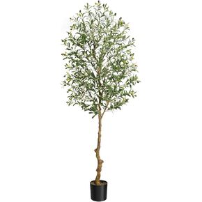 Tall Faux Olive Tree 6FT, Realistic Tall Silk Olive Trees with Branches,Fruits and Dried Moss, Large Artificial Olive Trees for Modern Home Office Living Room Floor Decor Indoor