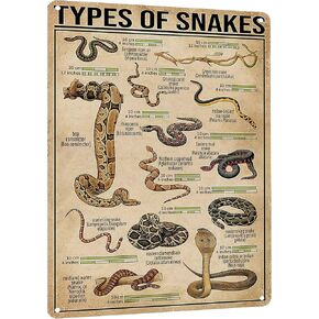 HYBLOM Vintage Types Of Snakes Metal Sign - Educational Tin Sign for Snake Lovers, Retro Art Poster for Farmhouse, Home, Office, Classroom and Club Wall Decor 8x12 Inches