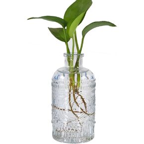 Propagation Vases for Plants, Bud Vases, Small Glass Vase for Flowers, Home Decor, Table Decor, Shelf Decor, Desk Decor, Office Decor