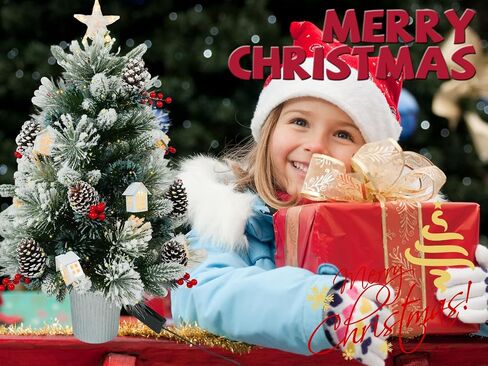 3FT Christmas Tree with 12cm Top Star, Artificial Flocked Fiber Optic Christmas Tree with 60 Mixed Branch Tips & 9*White House & 12*Red Berry and Big Pinecone String for Indoor Outdoor in Saudi Arabia