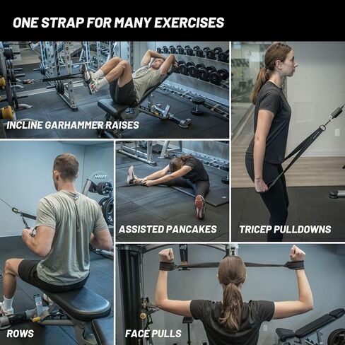 Hip Flexor من Alien Athletics - حزام القرفصاء العكسي لآلة الكابلات - أشرطة البطن - مرفق آلة الكابل لحبل ثلاثي الرؤوس - حلقة تسلق وحقيبة حمل متضمنة in Kuwait
