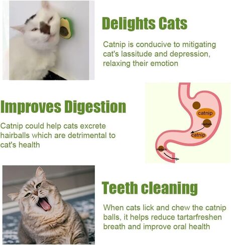 Spring Blossoms Avocado Catnip Wall Ball Cat Toys Catnip,Snack Healthy Rotatable Treats Kitten Playing Toy,Edible Cat Mint Licking Ball(Catnip & Catnip) in Saudi Arabia