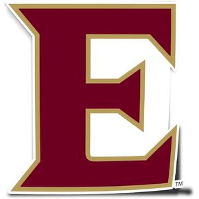Desert Cactus Elon University Phoenix Vinyl Decal Laptop Water Bottle Car Scrapbook Sticker (IND 00009)