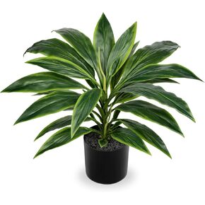 Artificial Plants Indoor with Pot, 18" Fake Potted Plants Medium Artificial Dracaena Plant in Black Pot Faux Tropical Plants for Bathroom Living Room Office Desk Shelf Decor