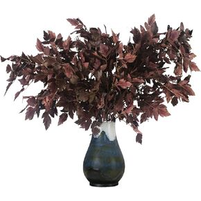 3 Pack Artificial Cimicifuga Plant Leaf 21 inch Faux Plum Cimicifuga Ramosa Leaf Branch Fall Cimicifuga Stems for Home Vase Table Wedding Farmhouse Mantel Harvest Decor(3, 21 inch)