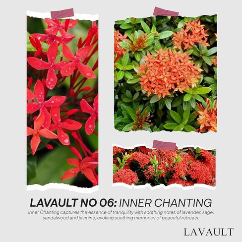 شموع برطمان حجري - وقت احتراق طويل الأمد - مصنوعة من شمع الصويا الطبيعي والزيوت العطرية - خالية من البارافين - مثالية للمنزل أو المكتب - شموع تزيينية - شموع هدايا سوداء - رائحة الزهور in Kuwait