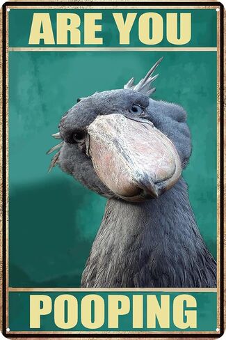Funny Sign Vintage Tin Metal Sign Retro Wall Art Are You Pooping Shoebill for Bathroom Study Entryway Living Room and Bar Great Gift for Friends 12x8 Inch (Shoebill) in Saudi Arabia