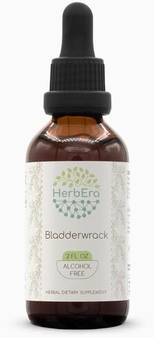 Bladderwrack B60 Alcohol-Free Herbal Extract Tincture, Concentrated Liquid Drops Natural Bladderwrack (Fucus Vesiculosus) Dried Plant (2 fl oz) in Kuwait