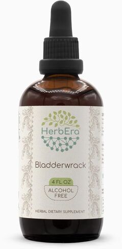 Bladderwrack B60 Alcohol-Free Herbal Extract Tincture, Concentrated Liquid Drops Natural Bladderwrack (Fucus Vesiculosus) Dried Plant (2 fl oz) in Kuwait