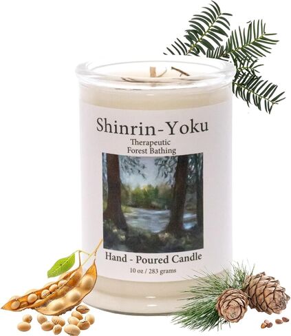 شمعة معطرة من ADK Shinrin Yoku، شمعة عطرية طبيعية بوزن 10 أونصة لديكور المنزل وديكور المطبخ، شموع شمع نباتية مريحة مثالية لتقديم الهدايا in Saudi Arabia