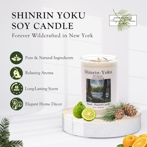 شمعة معطرة من ADK Shinrin Yoku، شمعة عطرية طبيعية بوزن 10 أونصة لديكور المنزل وديكور المطبخ، شموع شمع نباتية مريحة مثالية لتقديم الهدايا in Saudi Arabia