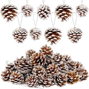 30 Pieces 2 Size Christmas Pine Cones with String Mini Rustic Pinecones Bulk Ornaments for Xmas Tree Crafts Holiday Home Hanging Ornament Party Favor Fireplace Table Centerpiece, Natural