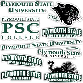 Desert Cactus Plymouth State University Stickers Panthers Vinyl Decals Laptop Water Bottle Car Scrapbook T2 (Type 2)
