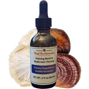 Evening Routine Mushroom Tincture, High Potency, Double Extracted, 60 Daily Doses, Reishi and Lion's Mane