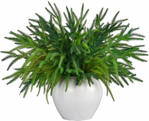12Pcs Xmas Norfolk Pine Branches, Real Touch Norfolk Pine Branches - 18" Christmas Artificial Pine branches DIY Crafts Faux Christmas Norfolk Pine Branch for Xmas Norfolk Indoor Outdoor Home Decor in Saudi Arabia