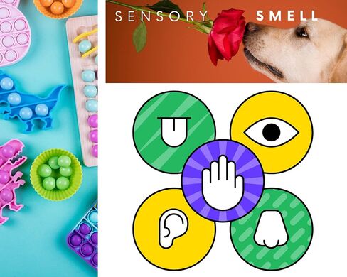 Pen Diffuser in Essential Oil Blends - Elegant 1.0mm Ballpoint Tip - Colored Pen - Diffuser Pens - Scented Pens - Fun Pens - Aromatherapy Pen (Rectangular) in Saudi Arabia