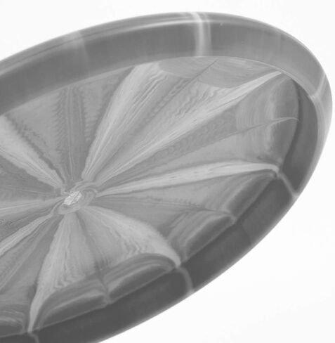 Dynamic Discs Prime Warden Putter 5 Pack | Disc Golf Putter Pack | Throwing Frisbee Golf Disc | Colors Will Vary in Saudi Arabia