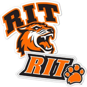 Desert Cactus Rochester Institute of Technology Stickers RIT Tigers Vinyl Decal Laptop Water Bottle Car Scrapbook 11.38x8.94 Sheet (4 Inch Set V1)