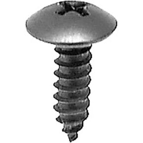100 M4.8-1.61 X 16mm Phillips Truss Head Screws