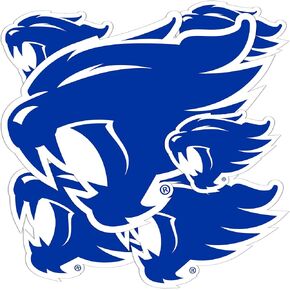 Desert Cactus University of Kentucky Sticker Wildcats UK Stickers Vinyl Decals Laptop Water Bottle Car Scrapbook T3 (Type 3-4)