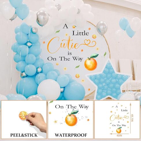 Cloud Baby Backdrop for Baby Shower - Cloud Nine Baby Shower Party Decor Stickers Wall Decals for Gender Reveal, Welcome Baby Sign Wall Decoration for Arch Backdrop in Kuwait