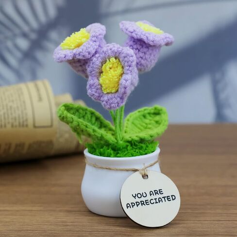 MSEHKM Encouragement Crochet Flowers with Positive Wooden Affirmations Handmade Artifical Flower Decor Ideal for Birthday/Christmas/Thank You Present (Gold Sunflower, You are Appreciated) in Kuwait