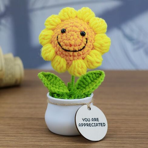 MSEHKM Encouragement Crochet Flowers with Positive Wooden Affirmations Handmade Artifical Flower Decor Ideal for Birthday/Christmas/Thank You Present (Gold Sunflower, You are Appreciated) in Kuwait