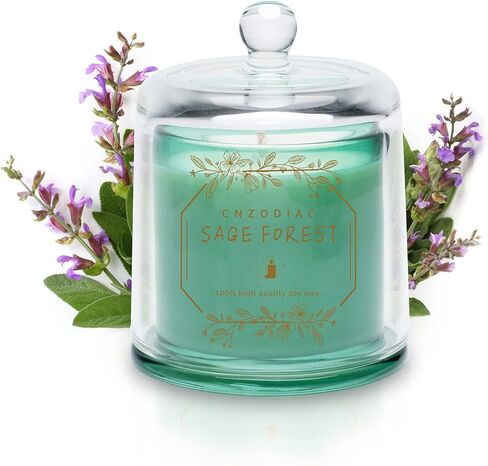 شموع معطرة بملح البحر، هدايا شموع فاخرة للنساء، شموع جرة زرقاء للمنزل، شموع شمع الصويا الطبيعية للعلاج العطري، 50 ساعة من وقت الحرق، 9 أونصة، شموع زجاجية كبيرة من Czodiac in Saudi Arabia