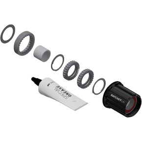 DT Swiss Ratchet LN Freehub Body Upgrade Kit - Shimano HG 11 MTN, Standard, Aluminum, Sealed Bearing, 36T, 2160010958