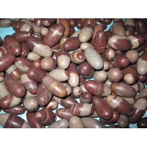 Bulk 1inch Shiva Lingam Pocket Ston 51 piece Lot - Best Price shiva Sacred Narmada Bana Lingam, Shri Narmadeshwar Banalinga | Spiritual Sacred Narmada Shiva Lingam stone of the Indian Hindu Religion